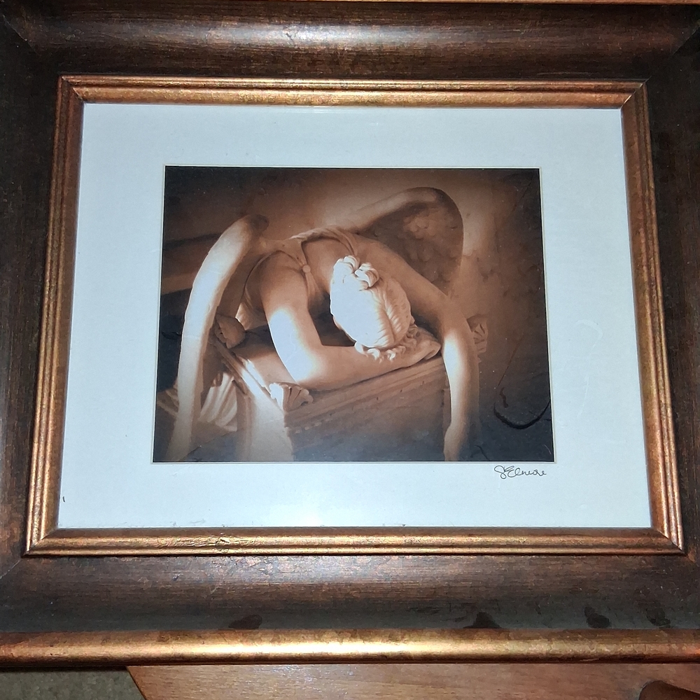 Elegant Bronze Framed Art Print